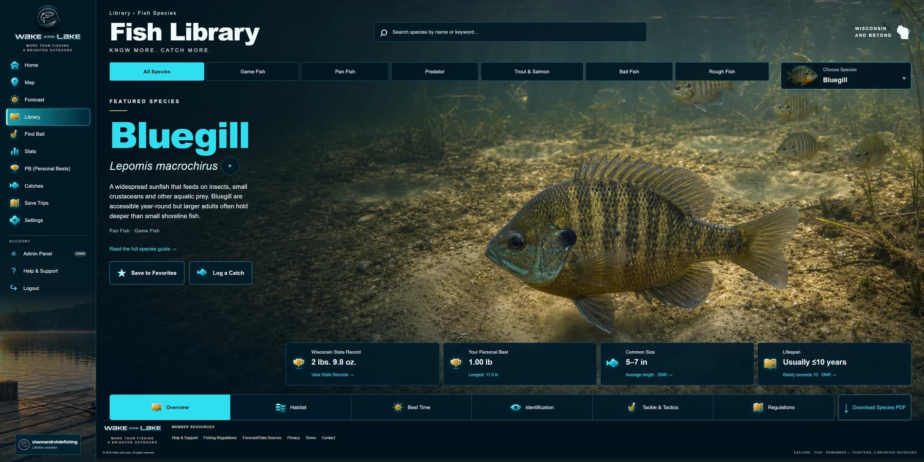 Actual desktop app: Fish Library featuring Bluegill (Lepomis macrochirus) and its species profile